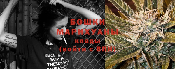 дурь Верея
